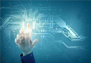 吳中區(qū)口碑佳、價格優(yōu)的系統(tǒng)開發(fā)與互聯(lián)網(wǎng)信息技術(shù)服務(wù)